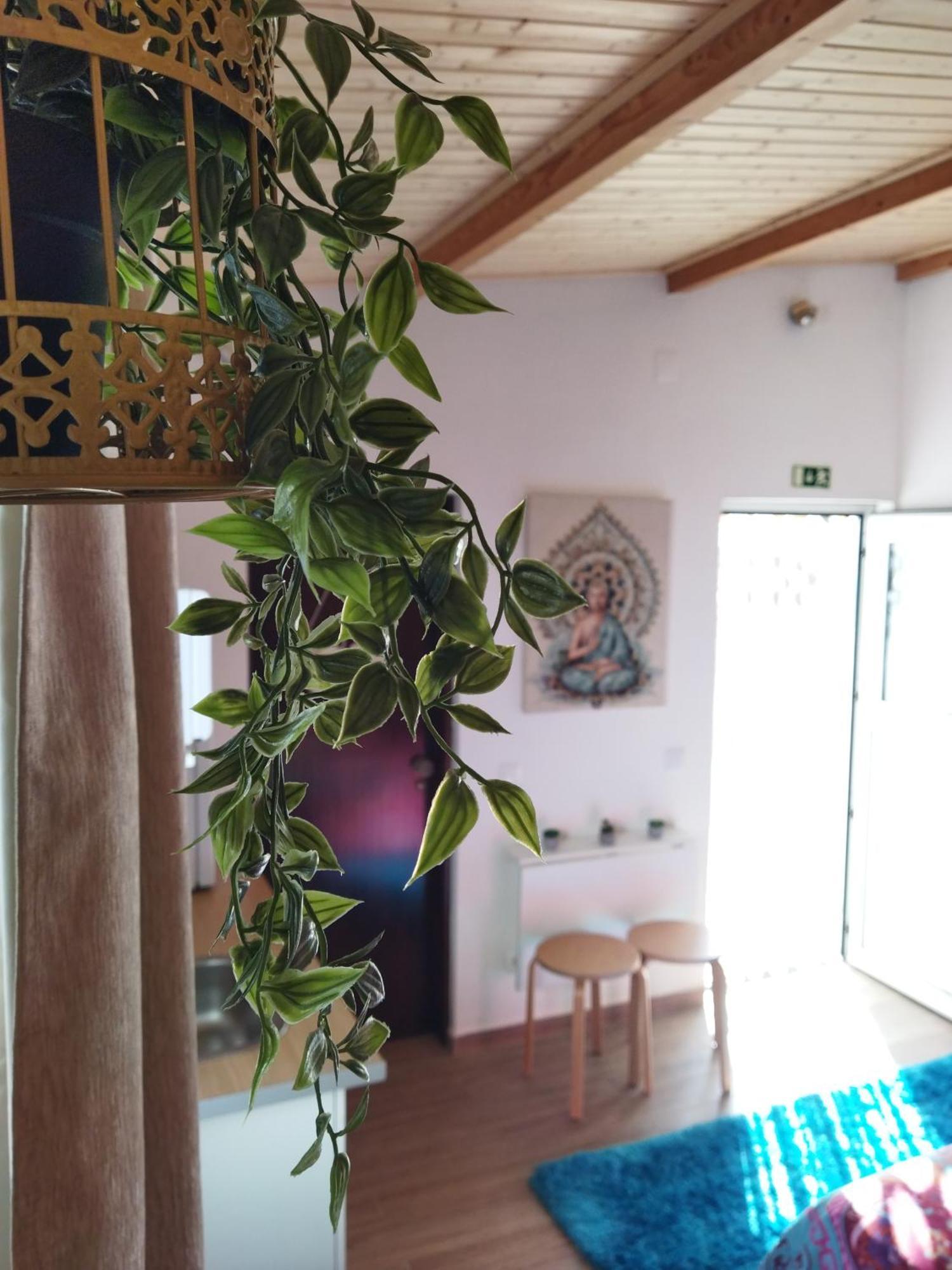 Casa Da Serra Nazaré Dış mekan fotoğraf